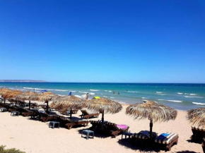 Apartment ODYSSEY La Marina ALICANTE